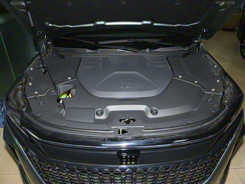 2024�� ��ҫ�� 100KM������ 7��