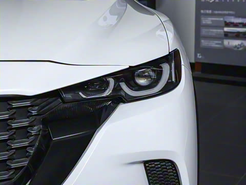 2023�� 2.5L ���а�