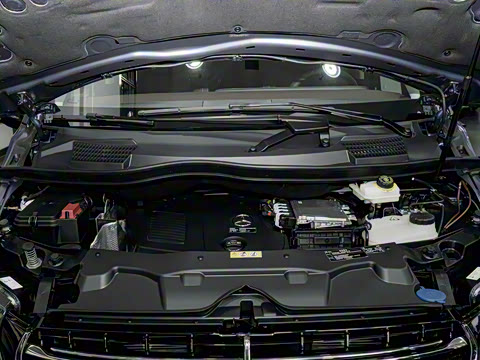 2024�� V 300 L ����������