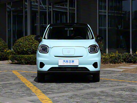 2025�� 310������