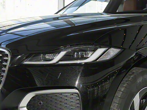 2025�� P250 R-Dynamic S