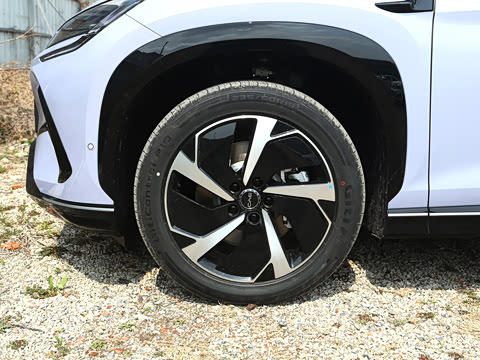 2025�� 550�Ǻ���