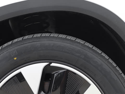 2025�� 205��������������