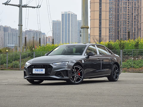 2025�� 200���������� 45 TFSI quattro ��ѡ������