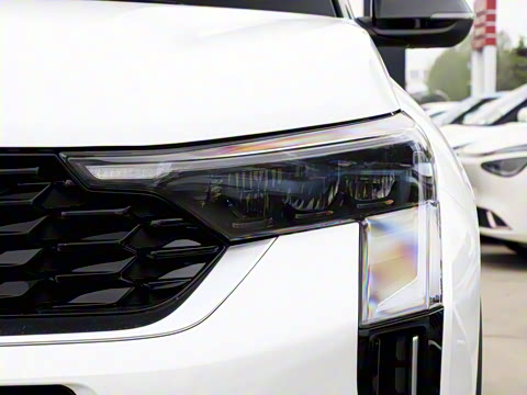 2024�� 1.5L ����������