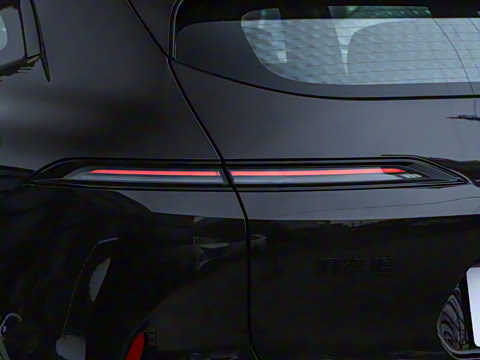 2024�� Pro+�����