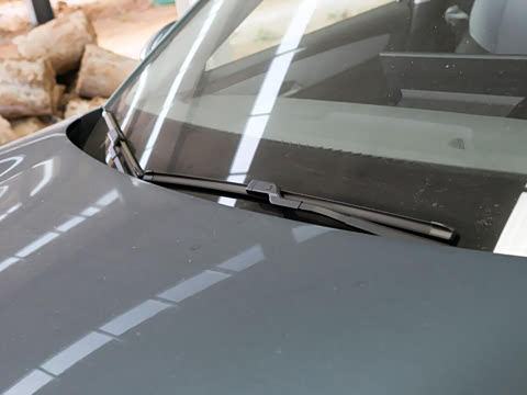 2025�� 565km ������