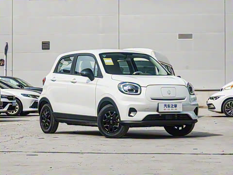 2025�� 310������