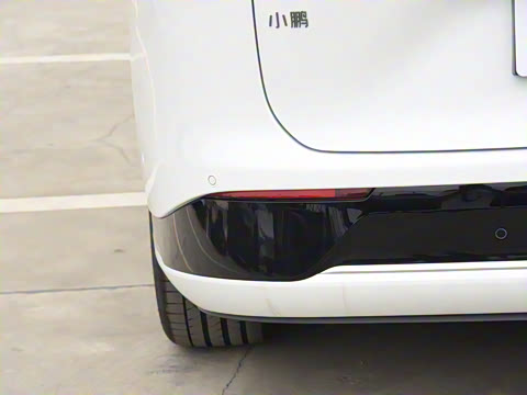 2025�� 725 �������� Max