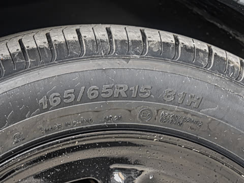 2025�� 310������