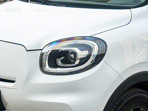 2025�� 310������