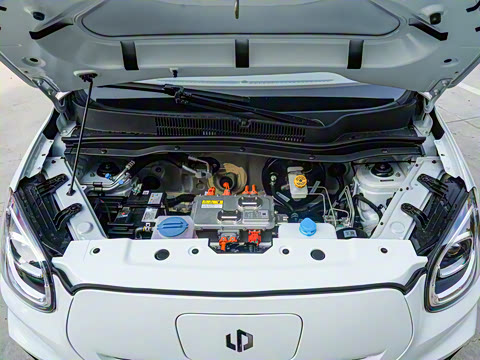 2025�� 310������