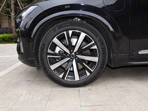 2025�� �Ŀ� T8 ��������� 7��