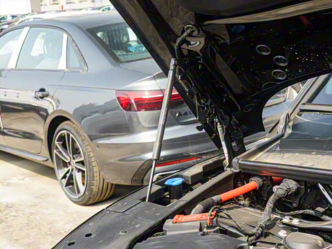 2025�� 45�����ذ� 45 TFSI ��ѡ������