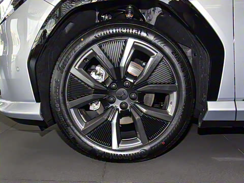 2025�� ����������Pro