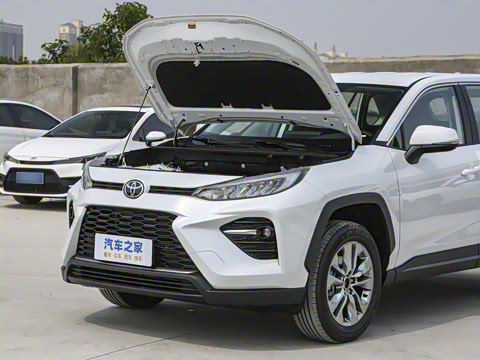 2024�� 2.0L CVT�������Ȱ�