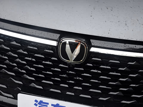 2025�� 1.5T DCT������