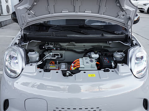 2025�� 205km ��Ȱ�