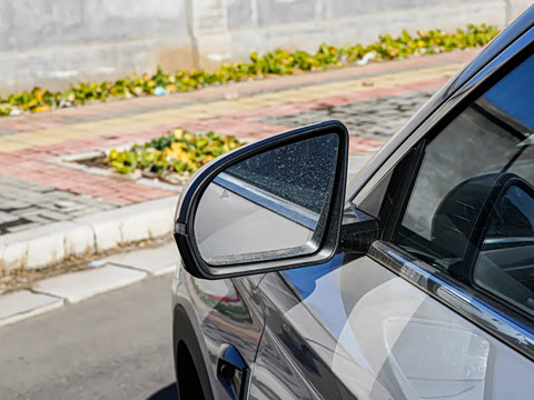 2025�� DM-i �Ǽݰ� 112KM ������