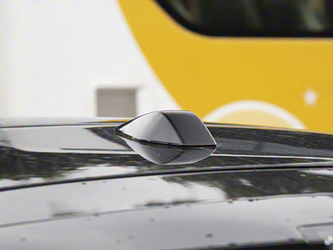 2025�� ����������Max