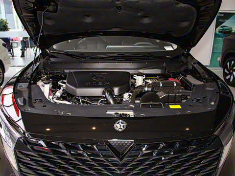 2024�� 260T ���ǰ� Pro