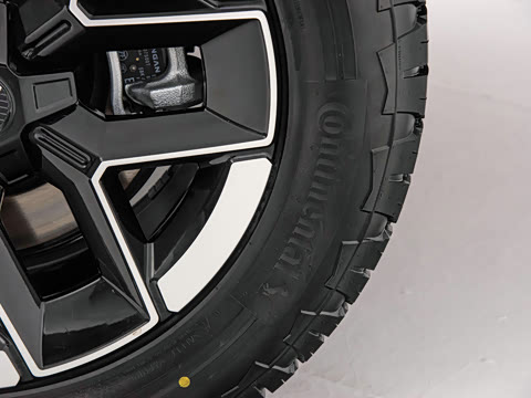 2024�� ����������