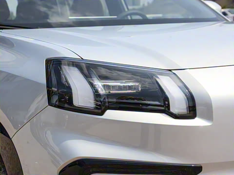 2025�� ���������� 650 ������