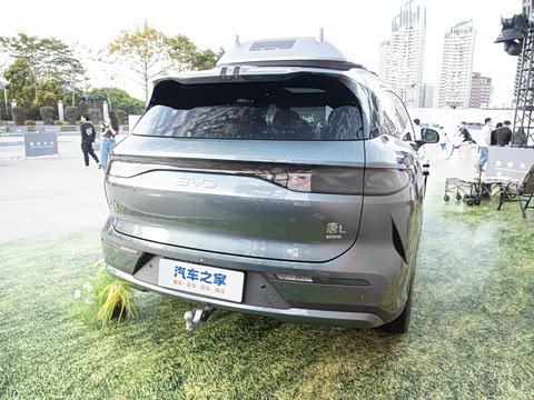 2025�� DM 175KM���˻���Ұ�