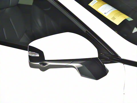 2025�� 530Ultra  �����Ǽ�AD PRO�����