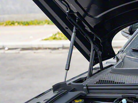 2025�� DM-i �Ǽݰ� 112KM �����