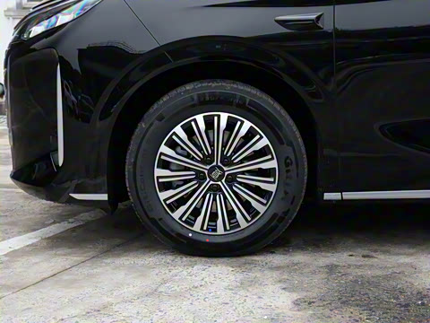 2025�� DM-i 1.5T 100km ��Խ��