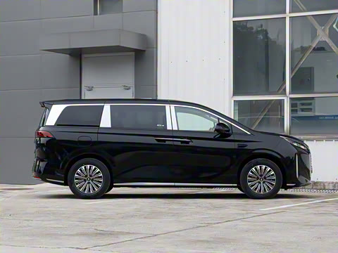 2025�� DM-i 1.5T 100km ��Խ��