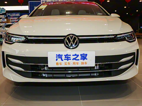 2025�� 300TSI Pro