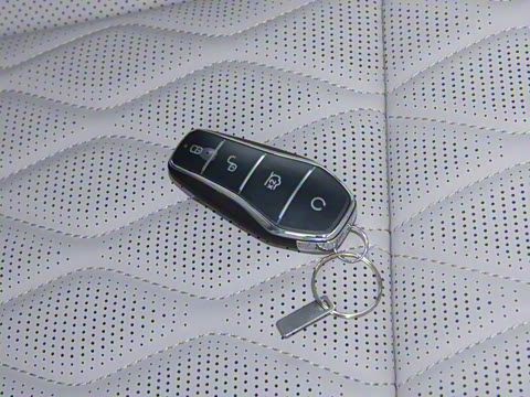 2025�� �Ǽݰ� DM-i 115KM �����