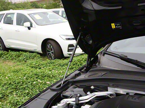 2026�� ���ʽ�춯 �������������ź�����