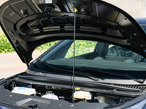 2025�� �Ǽݰ� 520km ��ʿ��