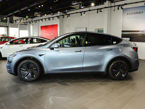 2025�� �������� �׷���