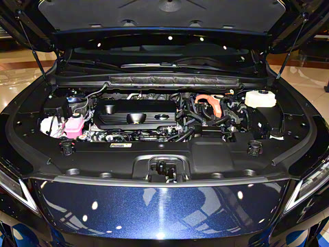 2025�� 350h ����������