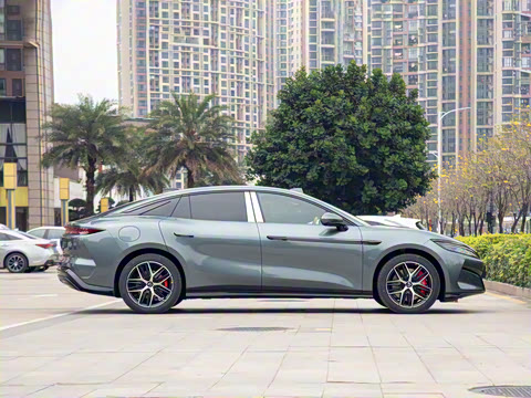 2025�� DM-p ���������״��콢��