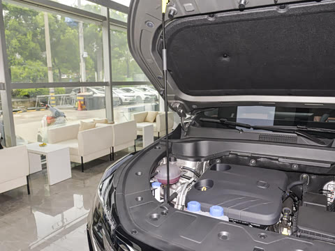 2025�� �ǻ������� 125km ������