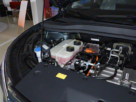 2025�� 565km ������