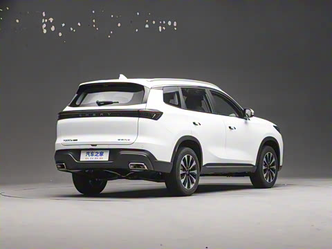 2025�� 290TGDI DCT�˷�� 