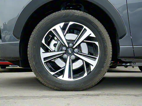 2025�� 120km ���۰�