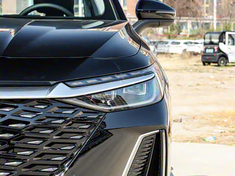 2025�� 1.6T DCT׿Խ��