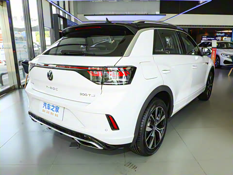 2025�� �Ŀ� 300TSI DSG���������