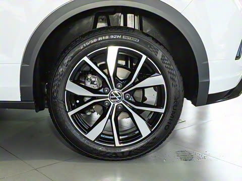 2025�� �Ŀ� 300TSI DSG���������