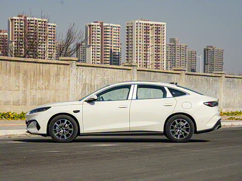 2025 DM-i Ǽݰ 120KM