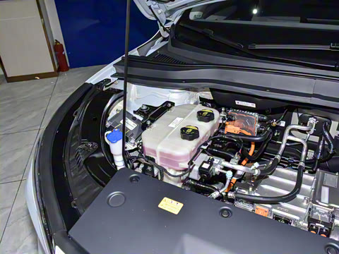 2025�� 445km ��ѡ��