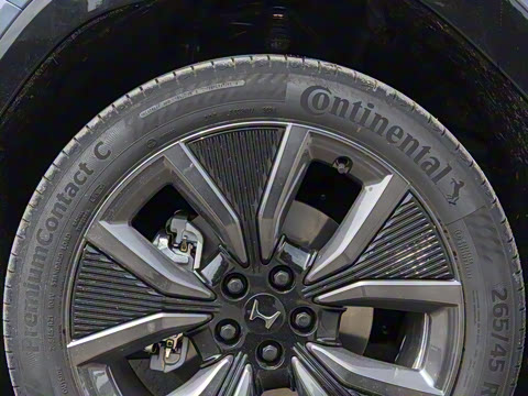 2025�� ����������Max