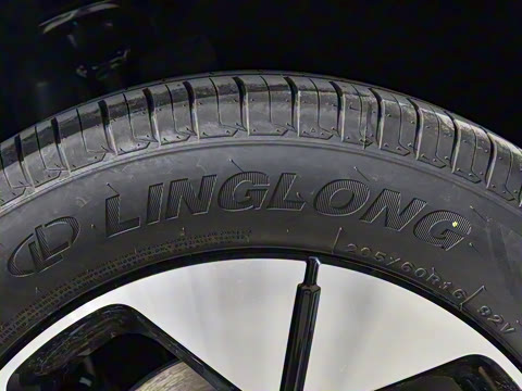 2025�� 310km �����